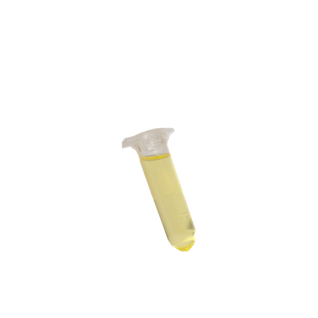 Sérum Visage (Ageless Glow & Day Glow)