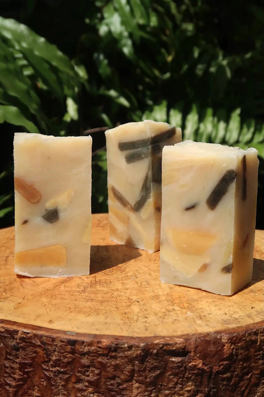 Blended To The Max Donata Skinfood