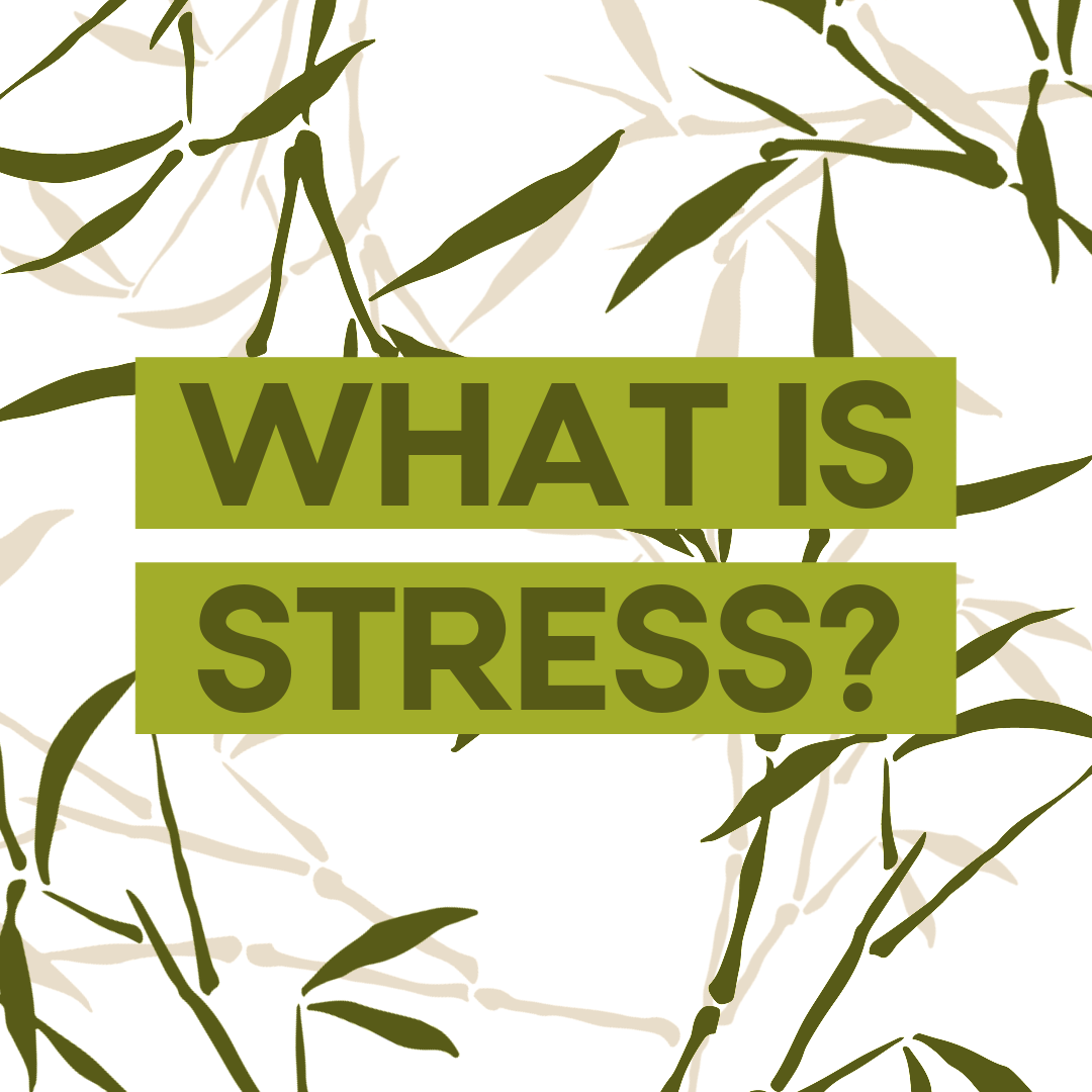 What Is Stress? What Do You Mean It Impacts My Skin?