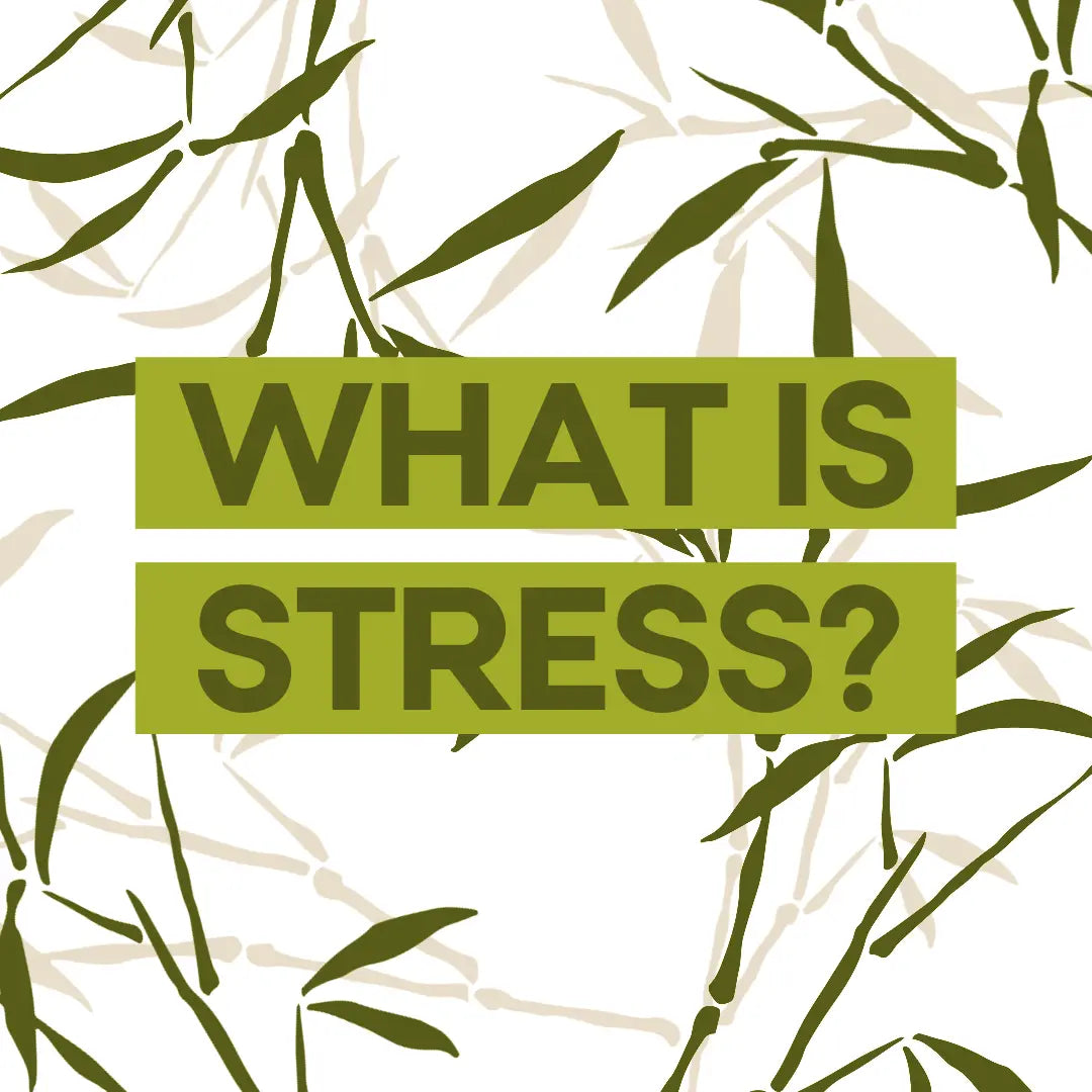 What Is Stress? What Do You Mean It Impacts My Skin? - Donata Skinfood