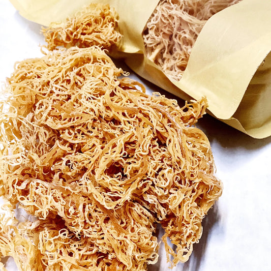 5 Sea Moss Smoothie Recipes to Try