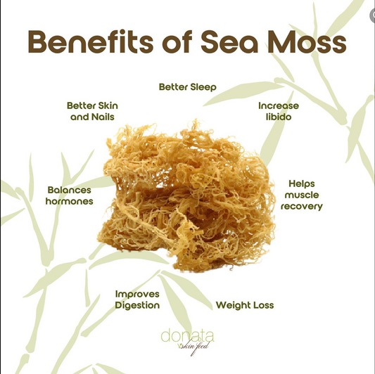 Irish Sea Moss Vendor